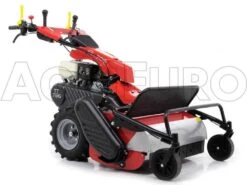 Tondeuse Débroussailleuse à Fléaux Autotractée GINKO-MGM TT 786 Avec Moteur Honda GX270 31 Tondeuse Débroussailleuse à Fléaux Autotractée GINKO-MGM TT 786 Avec Moteur Honda GX270 -Motofaucheuse Soldes tondeuse dbroussailleuse flaux autotracte ginko mgm tt 786 avec moteur honda gx270 moteur honda gx 270 10107 8 1487610696 IMG 6231