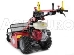 Tondeuse Débroussailleuse à Fléaux Autotractée GINKO-MGM TT 786 Avec Moteur Honda GX270 32 Tondeuse Débroussailleuse à Fléaux Autotractée GINKO-MGM TT 786 Avec Moteur Honda GX270 -Motofaucheuse Soldes tondeuse dbroussailleuse flaux autotracte ginko mgm tt 786 avec moteur honda gx270 tondeuse dbroussailleuse ginko mgm mod tt 786 10107 1 1487609065 IMG 6171