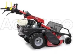 Tondeuse Débroussailleuse à Fléaux Autotractée GINKO-MGM TT 786 Avec Moteur Honda GX270 34 Tondeuse Débroussailleuse à Fléaux Autotractée GINKO-MGM TT 786 Avec Moteur Honda GX270 -Motofaucheuse Soldes tondeuse dbroussailleuse flaux autotracte ginko mgm tt 786 avec moteur honda gx270 tondeuse dbroussailleuse ginko mgm mod tt 786 10107 1 1487609066 IMG 6172