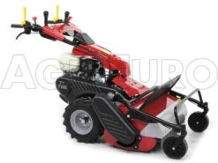 Tondeuse Débroussailleuse à Fléaux Autotractée GINKO-MGM TT 786 Avec Moteur Honda GX270 24 Tondeuse Débroussailleuse à Fléaux Autotractée GINKO-MGM TT 786 Avec Moteur Honda GX270 -Motofaucheuse Soldes tondeuse dbroussailleuse flaux autotracte ginko mgm tt 786 avec moteur honda gx270 tondeuse dbroussailleuse ginko mgm mod tt 786 10107 1 1487609067 IMG 6174