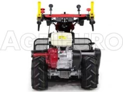 Tondeuse Débroussailleuse à Fléaux Autotractée GINKO-MGM TT 886, GX390 - HAUT DE GAMME -Motofaucheuse Soldes tondeuse dbroussailleuse flaux autotracte ginko mgm tt 886 gx390 haut de gamme dbroussailleuse ginko mgm mod tt 886 10115 1 1487677991 IMG 6330