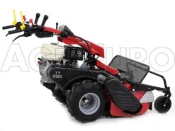 Tondeuse Débroussailleuse à Fléaux Autotractée GINKO-MGM TT 886, GX390 - HAUT DE GAMME -Motofaucheuse Soldes tondeuse dbroussailleuse flaux autotracte ginko mgm tt 886 gx390 haut de gamme dbroussailleuse ginko mgm mod tt 886 10115 1 1487677992 IMG 6333