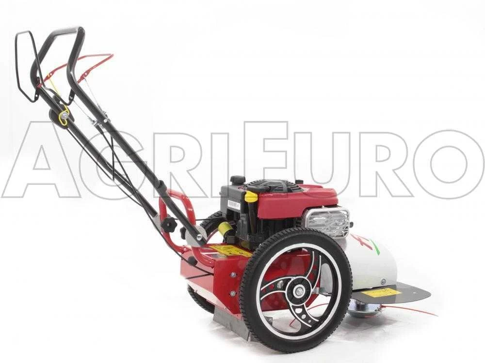 Tondeuse Débroussailleuse Thermique FLO Pro Speed 6BS B&S 850E Tondeuse Broyeuse à Roues 4 Tondeuse Débroussailleuse Thermique FLO Pro Speed 6BS B&S 850E Tondeuse Broyeuse à Roues – Image 2