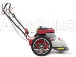 Tondeuse Débroussailleuse Thermique FLO Pro Speed 6BS B&S 850E Tondeuse Broyeuse à Roues 24 Tondeuse Débroussailleuse Thermique FLO Pro Speed 6BS B&S 850E Tondeuse Broyeuse à Roues -Motofaucheuse Soldes tondeuse dbroussailleuse thermique flo pro speed 6bs b s 850e tondeuse broyeuse roues tondeuse dbroussailleuse flo pro speed 6bs b s 850e 10808 0 1498742260 IMG 9754