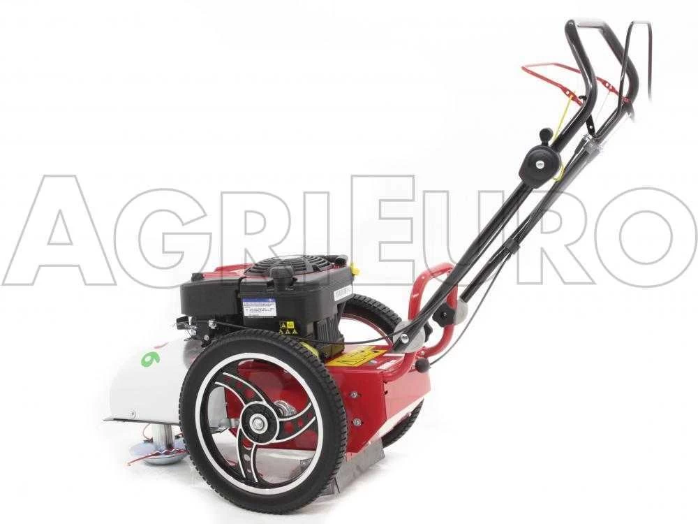 Tondeuse Débroussailleuse Thermique FLO Pro Speed 6BS B&S 850E Tondeuse Broyeuse à Roues 9 Tondeuse Débroussailleuse Thermique FLO Pro Speed 6BS B&S 850E Tondeuse Broyeuse à Roues – Image 7