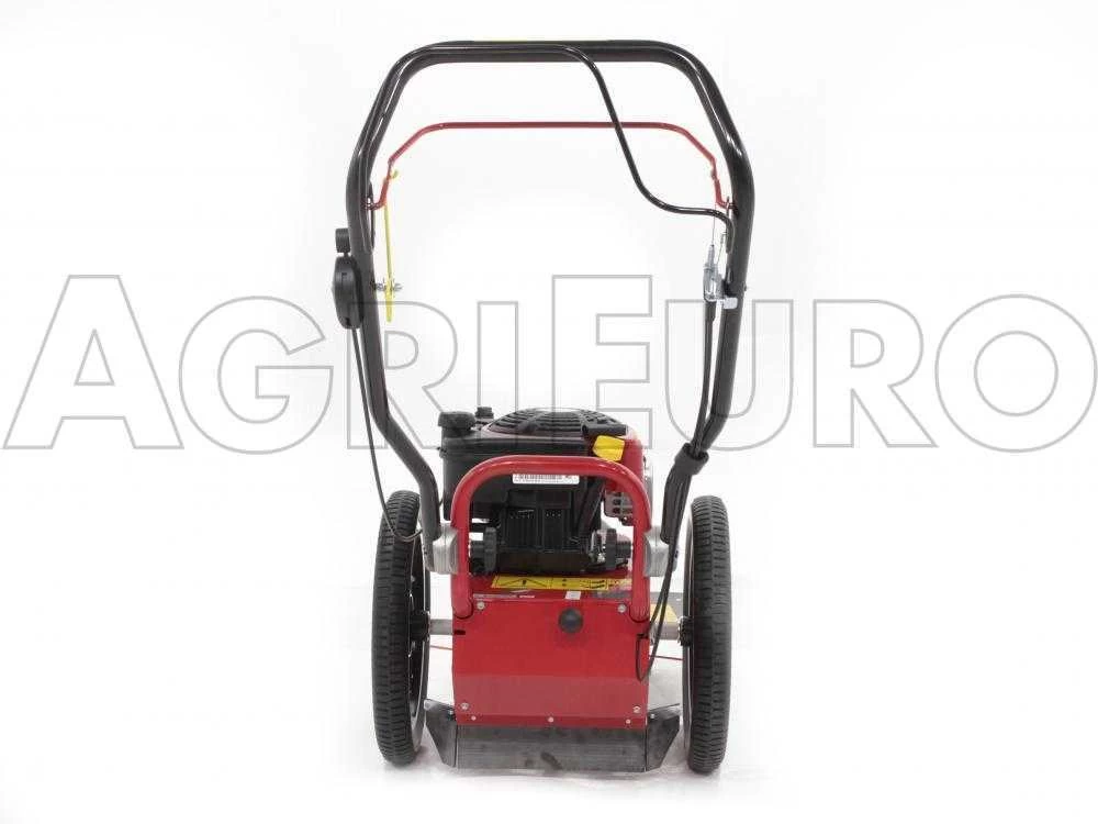 Tondeuse Débroussailleuse Thermique FLO Pro Speed 6BS B&S 850E Tondeuse Broyeuse à Roues 10 Tondeuse Débroussailleuse Thermique FLO Pro Speed 6BS B&S 850E Tondeuse Broyeuse à Roues – Image 8