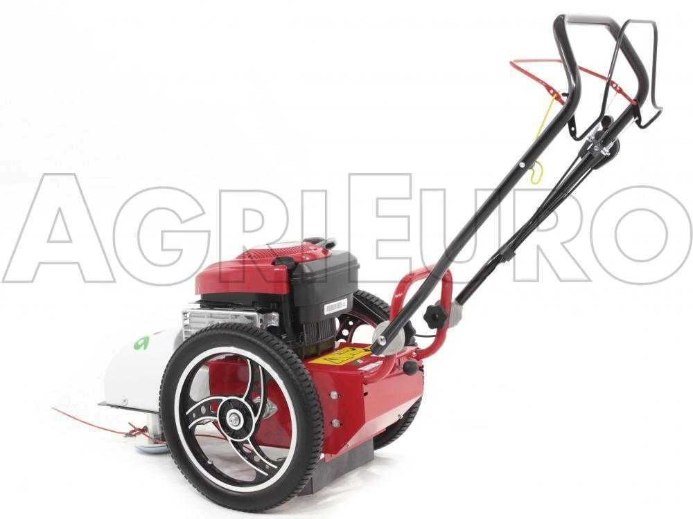 Tondeuse Débroussailleuse Thermique FLO Speed 6BS B&S 675EX Débroussailleuse à Roues 6 Tondeuse Débroussailleuse Thermique FLO Speed 6BS B&S 675EX Débroussailleuse à Roues – Image 4