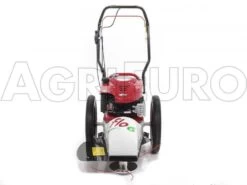 Tondeuse Débroussailleuse Thermique FLO Speed 6BS B&S 675EX Débroussailleuse à Roues 28 Tondeuse Débroussailleuse Thermique FLO Speed 6BS B&S 675EX Débroussailleuse à Roues -Motofaucheuse Soldes tondeuse dbroussailleuse thermique flo speed 6bs b s 675ex dbroussailleuse roues tondeuse dbroussailleuse flo speed 6bs b s 675ex 10804 0 1498641594 IMG 9632