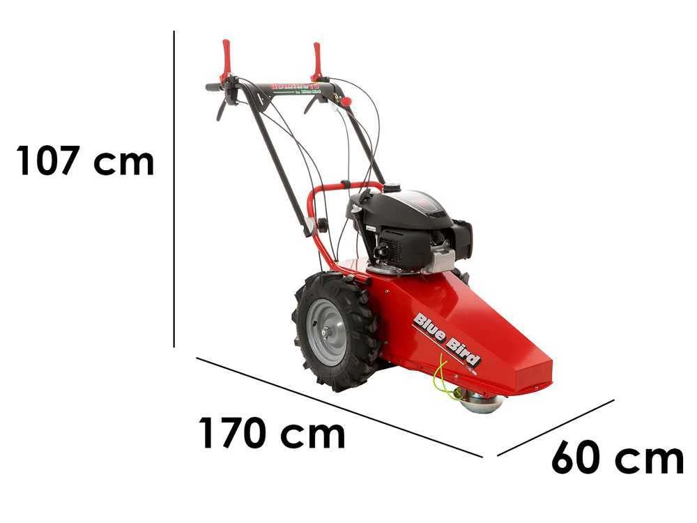 Tondeuse Débroussailleuse Thermique Domino Moteur Honda GCV 200, Tondeuse Broyeuse 3 Tondeuse Débroussailleuse Thermique Domino Moteur Honda GCV 200, Tondeuse Broyeuse