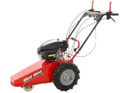 Tondeuse Débroussailleuse Thermique Domino Moteur Honda GCV 200, Tondeuse Broyeuse 24 Tondeuse Débroussailleuse Thermique Domino Moteur Honda GCV 200, Tondeuse Broyeuse -Motofaucheuse Soldes tondeuse debroussailleuse thermique domino moteur honda gcv 200 tondeuse broyeuse presentation domino blue bird honda gcv 200 22803 0 1585930718 IMG 5e8761deb3ad6