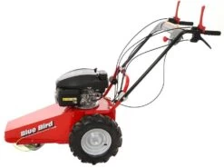 Tondeuse Débroussailleuse Thermique Domino Moteur Honda GCV 200, Tondeuse Broyeuse 25 Tondeuse Débroussailleuse Thermique Domino Moteur Honda GCV 200, Tondeuse Broyeuse -Motofaucheuse Soldes tondeuse debroussailleuse thermique domino moteur honda gcv 200 tondeuse broyeuse presentation domino blue bird honda gcv 200 22803 0 1585930718 IMG 5e8761dece59c