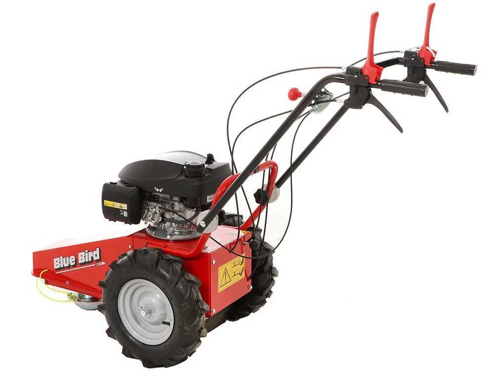 Tondeuse Débroussailleuse Thermique Domino Moteur Honda GCV 200, Tondeuse Broyeuse 7 Tondeuse Débroussailleuse Thermique Domino Moteur Honda GCV 200, Tondeuse Broyeuse – Image 5