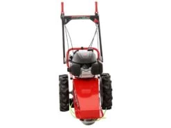 Tondeuse Débroussailleuse Thermique Domino Moteur Honda GCV 200, Tondeuse Broyeuse 28 Tondeuse Débroussailleuse Thermique Domino Moteur Honda GCV 200, Tondeuse Broyeuse -Motofaucheuse Soldes tondeuse debroussailleuse thermique domino moteur honda gcv 200 tondeuse broyeuse presentation domino blue bird honda gcv 200 22803 0 1585930719 IMG 5e8761df2d270