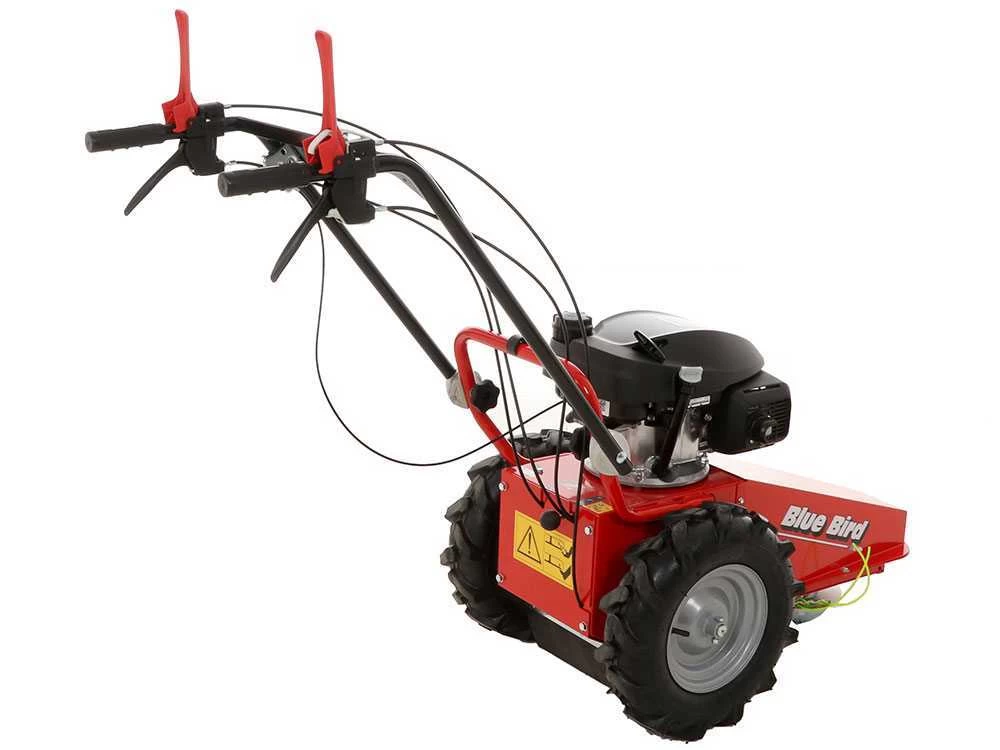 Tondeuse Débroussailleuse Thermique Domino Moteur Honda GCV 200, Tondeuse Broyeuse 12 Tondeuse Débroussailleuse Thermique Domino Moteur Honda GCV 200, Tondeuse Broyeuse – Image 10