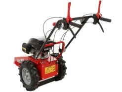 Tondeuse Débroussailleuse Thermique Domino Moteur Honda GCV 200, Tondeuse Broyeuse 33 Tondeuse Débroussailleuse Thermique Domino Moteur Honda GCV 200, Tondeuse Broyeuse -Motofaucheuse Soldes tondeuse debroussailleuse thermique domino moteur honda gcv 200 tondeuse broyeuse presentation domino blue bird honda gcv 200 22803 0 1585930719 IMG 5e8761df56813