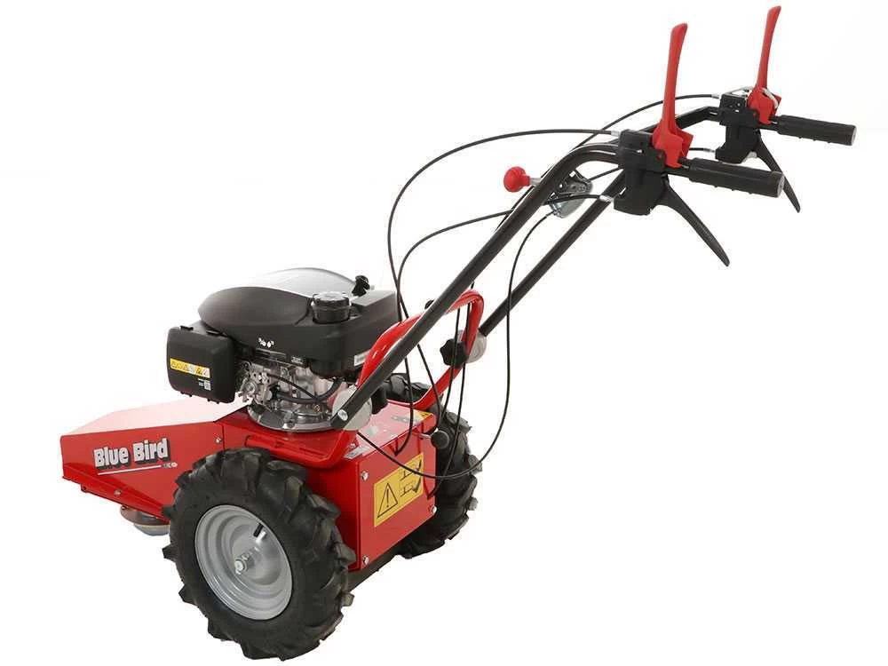 Tondeuse Débroussailleuse Thermique Domino Moteur Honda GCV 200, Tondeuse Broyeuse 15 Tondeuse Débroussailleuse Thermique Domino Moteur Honda GCV 200, Tondeuse Broyeuse – Image 13