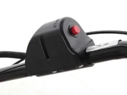 Tondeuse Débroussailleuse Thermique Eurosystems P55 à Démarrage électrique à Batterie 32 Tondeuse Débroussailleuse Thermique Eurosystems P55 à Démarrage électrique à Batterie -Motofaucheuse Soldes tondeuse debroussailleuse thermique eurosystems p55 a demarrage electrique a batterie moteur briggs stratton 675 ex 7531 10 1533818487 IMG 2780