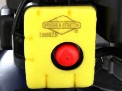 Tondeuse à Gazon Autotractée Thermique BullMach ECTOR 46 BS - Moteur B&S 500E 39 Tondeuse à Gazon Autotractée Thermique BullMach ECTOR 46 BS - Moteur B&S 500E -Motofaucheuse Soldes tondeuse gazon autotracte thermique bullmach ector 46 bs moteur b s 500e moteur briggs stratton 500e 27828 1 1617004003 IMG 606185e39b92d