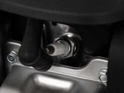 Tondeuse à Gazon Thermique Autotractée Blue Bird Sprint H51 T - Honda GCVx 200 - Lame 51 Cm 35 Tondeuse à Gazon Thermique Autotractée Blue Bird Sprint H51 T - Honda GCVx 200 - Lame 51 Cm -Motofaucheuse Soldes tondeuse gazon thermique autotracte blue bird sprint h51 t honda gcvx 200 lame 51 cm moteur honda gcvx200 35860 14 1658225240 IMG 62d682588ac8f