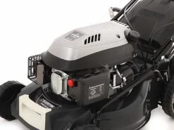 Tondeuse Thermique Autotractée Blackstone SP480 Deluxe Avec Moteur Blackstone Y196V 34 Tondeuse Thermique Autotractée Blackstone SP480 Deluxe Avec Moteur Blackstone Y196V -Motofaucheuse Soldes tondeuse thermique autotracte blackstone sp480 deluxe avec moteur blackstone y196v moteur blackstone y 196 v 16048 22 1554277153 motore 3