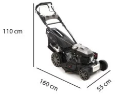 Tondeuse Thermique Autotractée Blackstone SP530 Deluxe: Ramassage, Mulching, éjection Latérale, Postérieure 33 Tondeuse Thermique Autotractée Blackstone SP530 Deluxe: Ramassage, Mulching, éjection Latérale, Postérieure -Motofaucheuse Soldes tondeuse thermique autotracte blackstone sp530 deluxe ramassage mulching jection latrale postrieure tondeuse gazon blackstone sp530 deluxe 16270 1 1555403442 misure