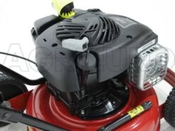 Tondeuse Thermique Marina Systems Speedy 40 LB BS450E 26 Tondeuse Thermique Marina Systems Speedy 40 LB BS450E -Motofaucheuse Soldes tondeuse thermique marina systems speedy 40 lb bs450e moteur briggs stratton 450e 6870 1 1427108332 IMG 0089