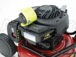 Tondeuse Thermique Marina Systems Speedy 40 LB BS450E 25 Tondeuse Thermique Marina Systems Speedy 40 LB BS450E -Motofaucheuse Soldes tondeuse thermique marina systems speedy 40 lb bs450e moteur briggs stratton 450e 6870 1 1427108332 IMG 0090