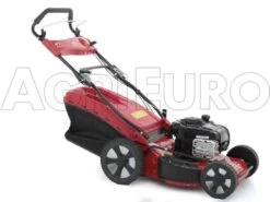 Tondeuse Thermique Professionnelle Poussé En Acier Marina Systems MA 46 B BS625E - 4en1 32 Tondeuse Thermique Professionnelle Poussé En Acier Marina Systems MA 46 B BS625E - 4en1 -Motofaucheuse Soldes tondeuse thermique professionnelle pouss en acier marina systems ma 46 b bs625e 4en1 tondeuse gazon ma ri na systems 10323 0 1490113099 IMG 0797