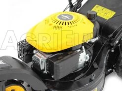 Tondeuse Thermique Tractée Mowox PM 4645 S Trike Avec Roue Avant Rotative 38 Tondeuse Thermique Tractée Mowox PM 4645 S Trike Avec Roue Avant Rotative -Motofaucheuse Soldes tondeuse thermique tracte mowox pm 4645 s trike avec roue avant rotative moteur mowox dg450 135 cm3 10306 22 1490005269 IMG 9467