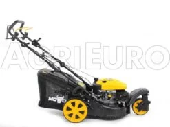 Tondeuse Thermique Tractée Mowox PM 4645 S Trike Avec Roue Avant Rotative 24 Tondeuse Thermique Tractée Mowox PM 4645 S Trike Avec Roue Avant Rotative -Motofaucheuse Soldes tondeuse thermique tracte mowox pm 4645 s trike avec roue avant rotative tondeuse gazon mowox pm 4645 s trike 10306 1 1490004368 IMG 9451
