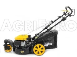 Tondeuse Thermique Tractée Mowox PM 4645 S Trike Avec Roue Avant Rotative 26 Tondeuse Thermique Tractée Mowox PM 4645 S Trike Avec Roue Avant Rotative -Motofaucheuse Soldes tondeuse thermique tracte mowox pm 4645 s trike avec roue avant rotative tondeuse gazon mowox pm 4645 s trike 10306 1 1490004370 IMG 9457