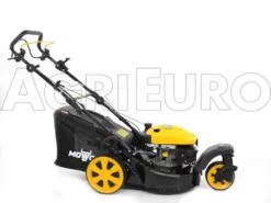 Tondeuse Thermique Tractée Mowox PM 4645 S Trike Avec Roue Avant Rotative 30 Tondeuse Thermique Tractée Mowox PM 4645 S Trike Avec Roue Avant Rotative -Motofaucheuse Soldes tondeuse thermique tracte mowox pm 4645 s trike avec roue avant rotative tondeuse gazon mowox pm 4645 s trike 10306 1 1490004374 IMG 9450
