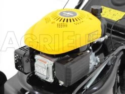 Tondeuse Tractée Mowox PM 4645 S - Coupe 46 Cm - Moteur Thermique 135 Cm3 34 Tondeuse Tractée Mowox PM 4645 S - Coupe 46 Cm - Moteur Thermique 135 Cm3 -Motofaucheuse Soldes tondeuse tracte mowox pm 4645 s coupe 46 cm moteur thermique 135 cm3 moteur mowox 135 cc 10370 6 1490620090 IMG 1284