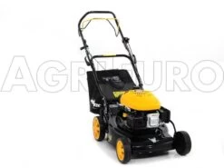 Tondeuse Tractée Mowox PM 4645 S - Coupe 46 Cm - Moteur Thermique 135 Cm3 32 Tondeuse Tractée Mowox PM 4645 S - Coupe 46 Cm - Moteur Thermique 135 Cm3 -Motofaucheuse Soldes tondeuse tracte mowox pm 4645 s coupe 46 cm moteur thermique 135 cm3 tondeuse mowox pm 4645 s 10370 5 1490620042 IMG 1278